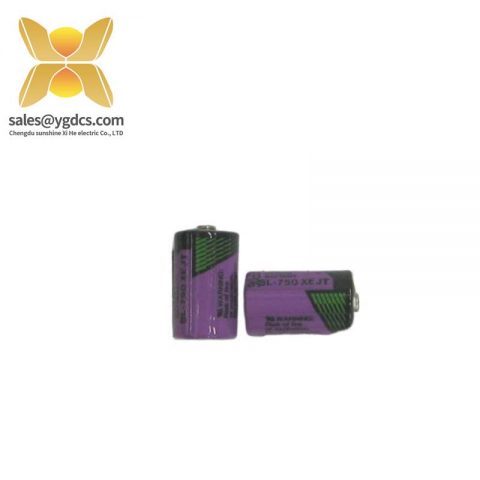 ABB SB808F 3BDM000199R1: Battery for RAM Buffering, 2 Pieces