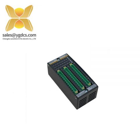 BACHMANN DI0232 - High-Performance Digital Input/Output Module