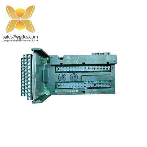 GE IC200CHS022J: Analog Input Module for Industrial Control Solutions