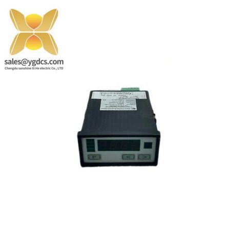 Negele Prozessoren-Anzeige DPM-GS-2GW-S Digital Display, NEGELE-DPM-GS-2GW-S