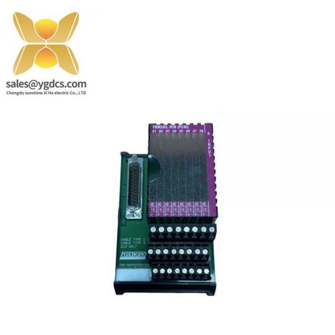 Foxboro P0916AEOC Terminal Card: Advanced Control Solution for Industrial Automation