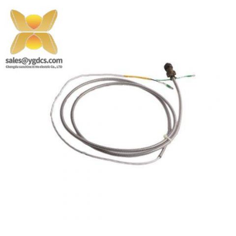 Bently Nevada 16710-12: Advanced Control Module for Industrial Automation