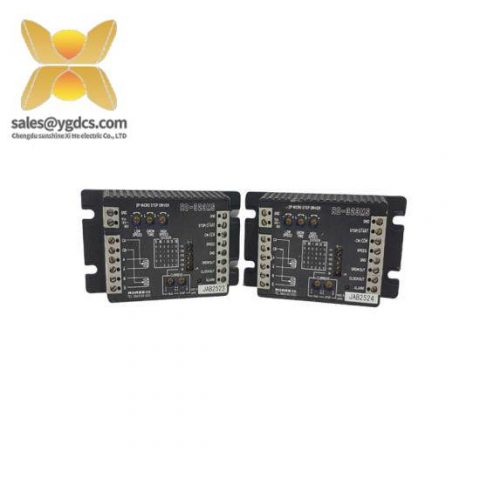 RORZE RD-323MS Motor Driver - Precision Control for Industry