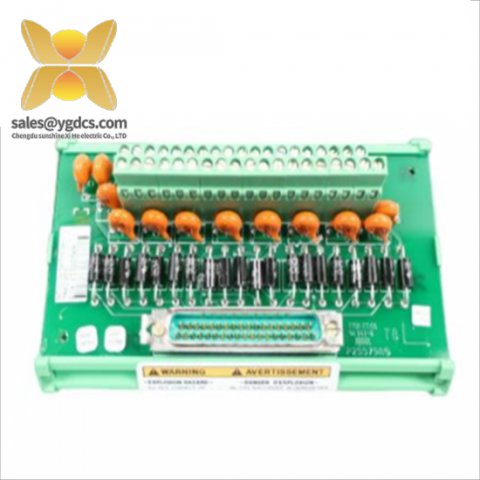 Woodward 5466-318 Micronet Timer Plus Kernel PS Module