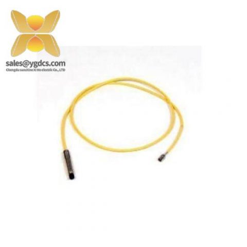 BENTLY NEVADA 21504-00-38-10-02 - Short Delivery Time, Precision Control Solutions