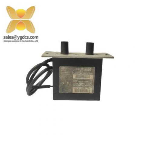 BERU W-ZG 02/V Ignition Transformer - Advanced Engine Control Module