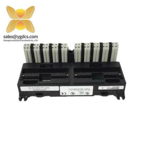 GE FANUC IC670CHS002 - Advanced I/O Terminal Block for Industrial Control Applications
