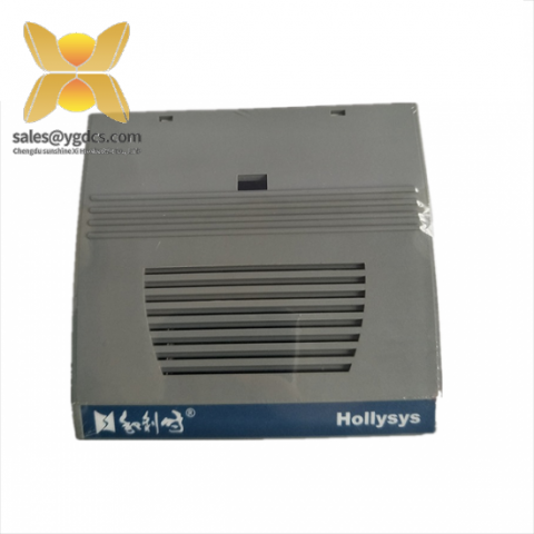 HOLLYSYS FM171B PLC Output Module - High Performance for Industrial Control Systems