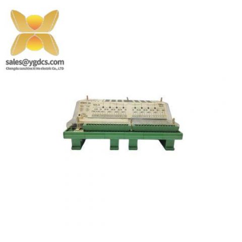Woodward 9905-973 Custom Processing Module