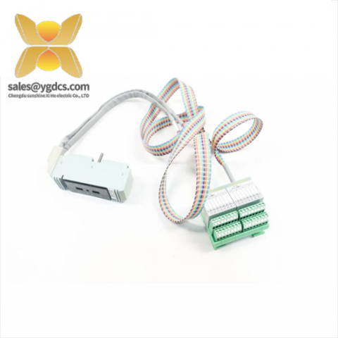 FOXBORO P0500SR Termination Cable Assembly - High Performance Connectivity Solution