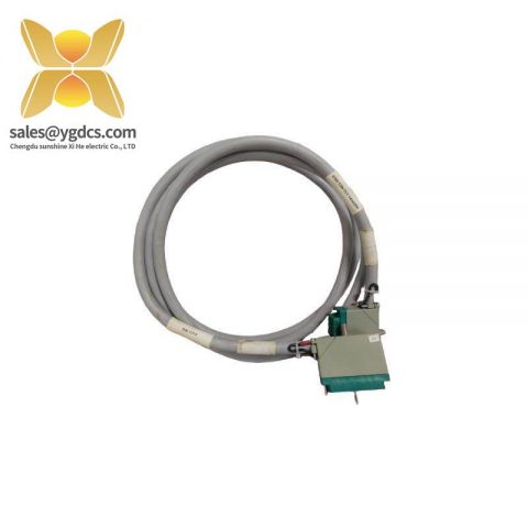 TRICONEX 4000093-310 Extended Product Type: PLC