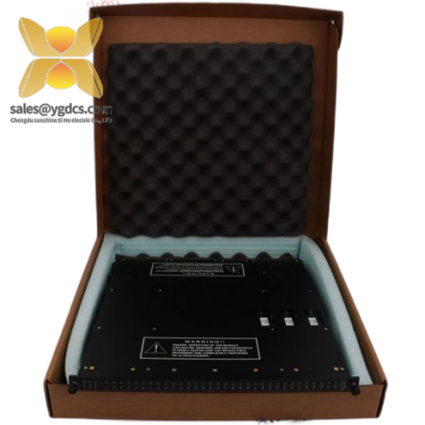 Triconex 3008N Processors; Producer: TRICONEX