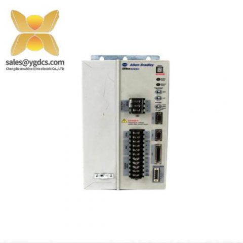 Belt Conveyor Systems + Model 2098-DSD-HV150X-DN Servo Drive